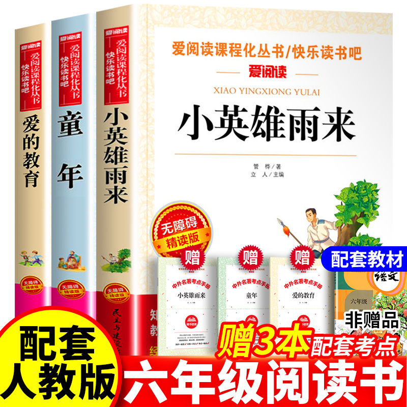 童年爱的教育小英雄雨来