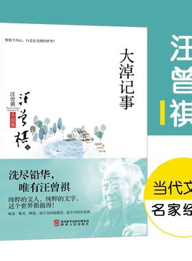 正版大淖记事汪曾祺小说精选