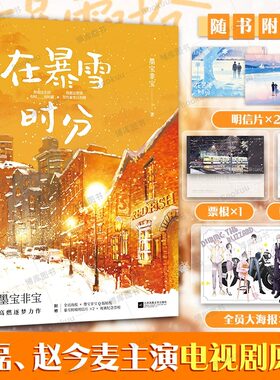 在暴雪时分实体小说书墨宝非宝