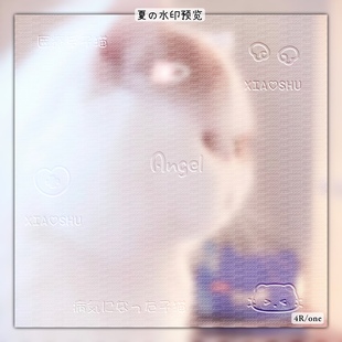 【风格水印】风格浮雕水印4R原创圈美化圈防盗水印