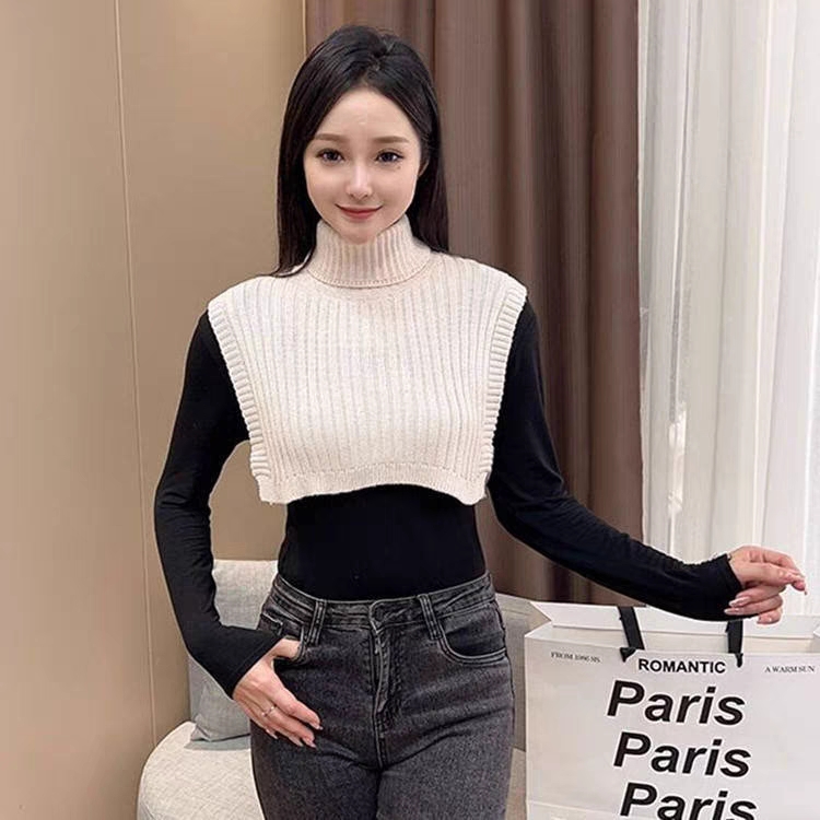 假衣领羊毛保暖百搭韩版