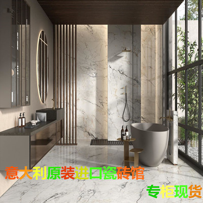 意大利蜜蜂瓷砖原装进口 AESTHETICA 系列客厅餐厅卫生间地砖墙