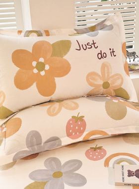 纯棉枕套一对装48cmx74cm100全棉枕头套单人家用男40x60小枕芯套