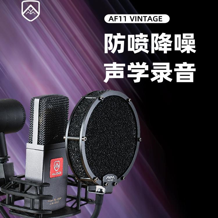 AYM AF11高端麦克风防喷网罩诺音曼德律风根金属防喷网录音棚级别
