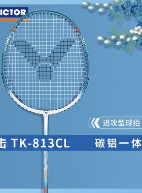 威克多胜利羽毛球拍对拍初学入门单拍户外娱乐拍ARS-1120AL 813CL