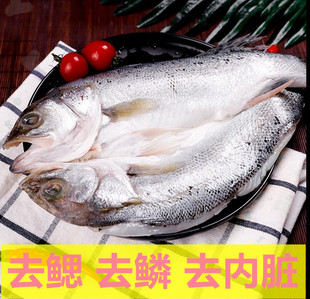 三去鲈鱼开背鲈鱼1斤1条装 深海七星鱼冷冻鲜活生鲜鱼类海鲜水产