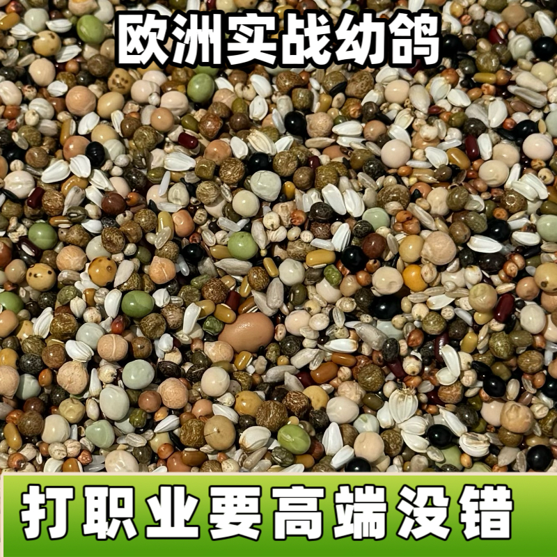宏冠凤翼龙翔欧洲实战高级幼鸽无小麦30种左右配料职业赛公棚种鸽