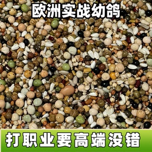 宏冠凤翼龙翔欧洲实战高级幼鸽无小麦30种左右配料职业赛公棚种鸽