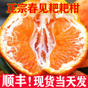 正宗四川春见耙耙柑10斤桔子新鲜水果当季整箱粑粑柑橘子顺丰包邮