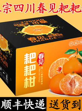 正宗四川春见耙耙柑10斤桔子新鲜水果当季整箱粑粑柑橘子顺丰包邮