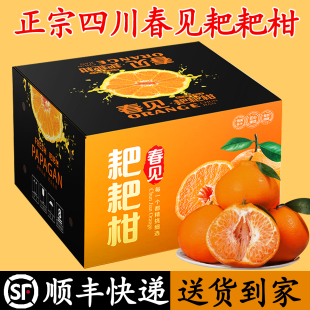 包邮 整箱粑粑柑橘子顺丰 正宗四川春见耙耙柑10斤桔子新鲜水果当季