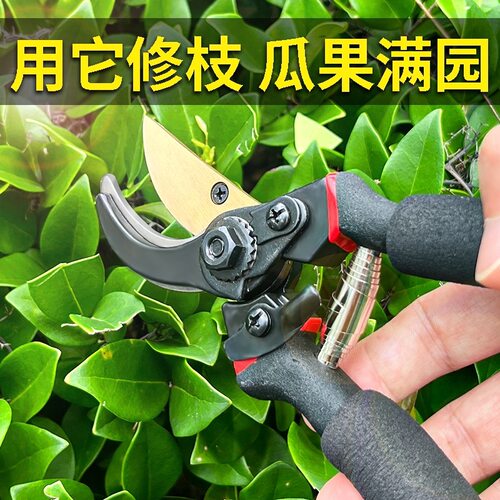 花艺园艺多功能剪刀剪花切割盆景工艺修剪枝园林可剪省力剪子果树