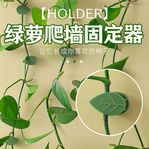 绿萝藤蔓植物爬藤固定器家用无痕植物固定器墙面悬挂粘贴固定夹
