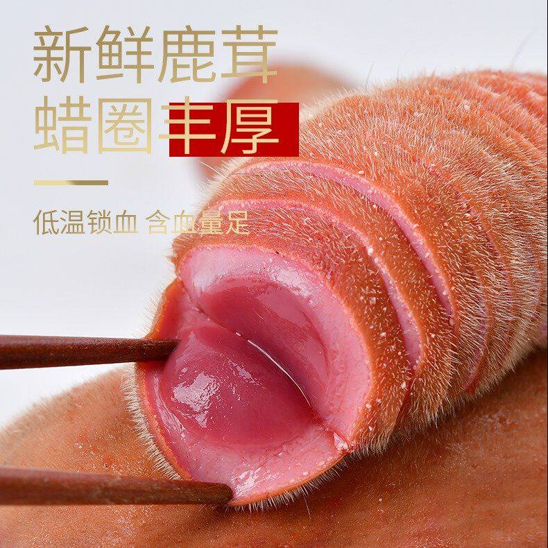 梅花鹿整枝鲜鹿茸头茬鲜切鹿茸吉林产地整只鹿茸泡酒煲汤特价包邮