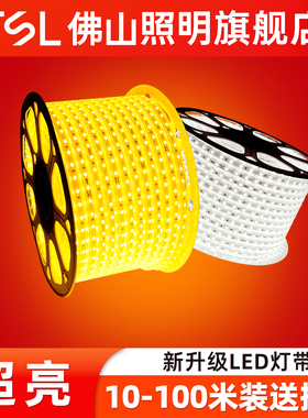 FSL佛山照明led灯带户外防水220v客厅外墙工程室外暖光高压带灯条