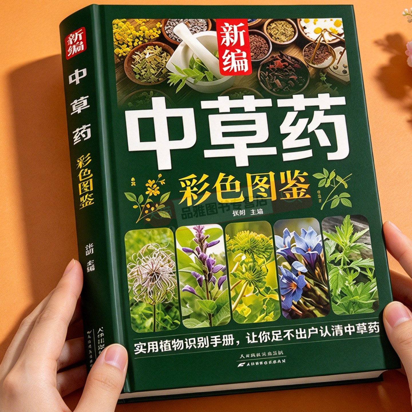 新编中草药彩色图鉴正版超实用中草药识别手册中草药图鉴图谱中国药材图鉴中药材大全148种常用中草药识别应用原色图片中医学书籍