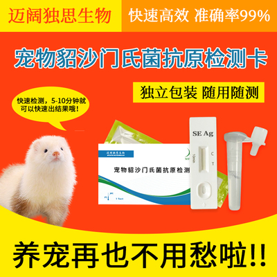 宠物貂沙门氏菌抗原快速检测卡水貂紫貂雪貂安格鲁貂异宠筛查试纸