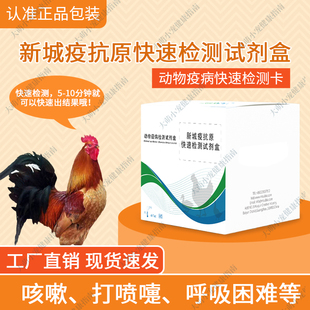 禽用鸡鸭鹅新城疫病毒抗原快速检测卡新城疫病毒抗原检测试纸