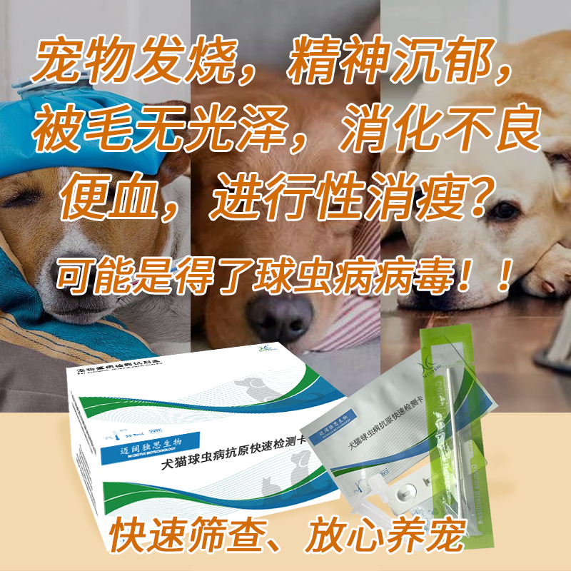 犬猫球虫病抗原检测卡狗狗猫咪宠物球虫病抗原快速检测试纸