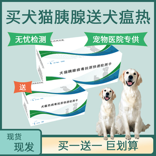 拍犬猫胰腺检测卡送犬瘟热检测试纸狗狗猫咪医院同款