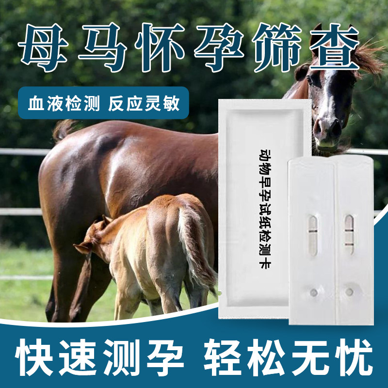 马早孕快速检测卡母马怀孕血液检测试纸在家操作方便一次性检测卡