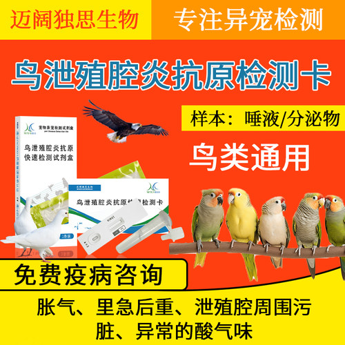 鸟泄殖腔炎抗原快速检测卡异宠宠物鸟类鹦鹉鸽子鹰自测自检检测
