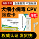 犬细小病毒抗原快速检测卡CPV宠物用品批发自己检测试纸检测板