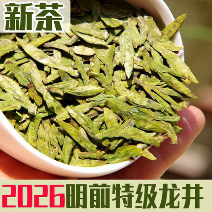 现货2026年新茶明前特级大佛龙井绿茶茶叶 新昌茶农产地直销500g