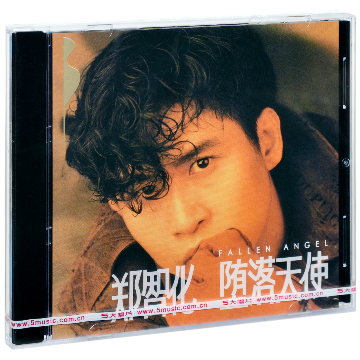 正版郑智化堕落天使 1990专辑五大唱片CD+歌词本-封面