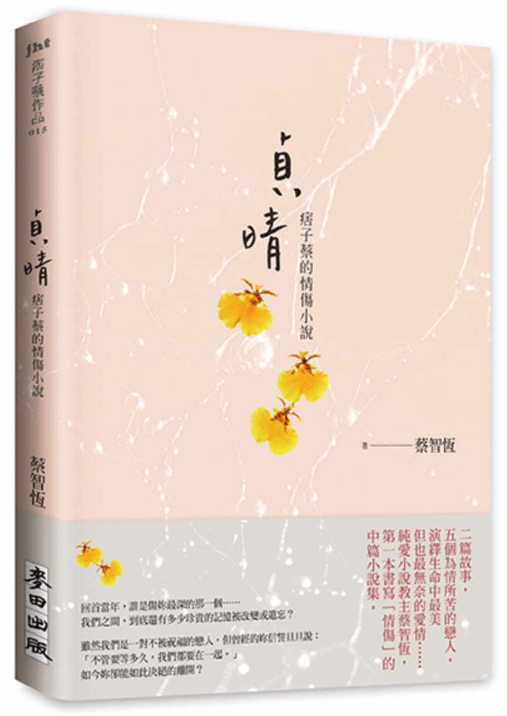 现货台版 贞晴 痞子蔡的情伤小说 蔡智恒 麦田 两性情感爱情小说书籍