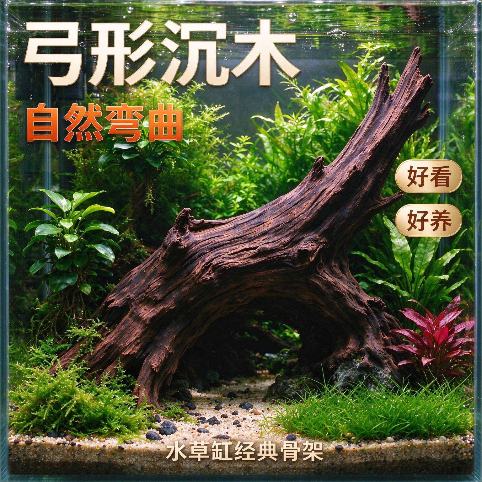 沉木紫柚木爬宠木乌龟晒台鱼缸造景插花微景观水陆缸雨淋根雕摆件