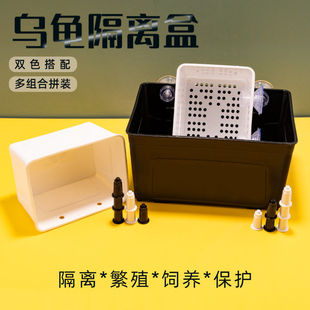 乌龟隔离盒黑白色发分隔盒鱼缸龟缸隔离盒养龟专用分离盒孵化盒