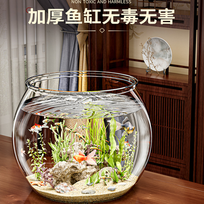 小鱼缸小型客厅2025新款过滤制氧一体机金鱼缸防摔耐摔桌面生态缸