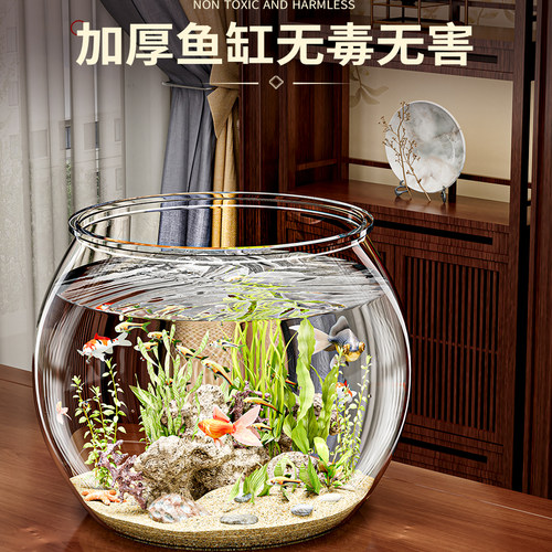 小鱼缸小型客厅2025新款过滤制氧一体机金鱼缸防摔耐摔桌面生态缸