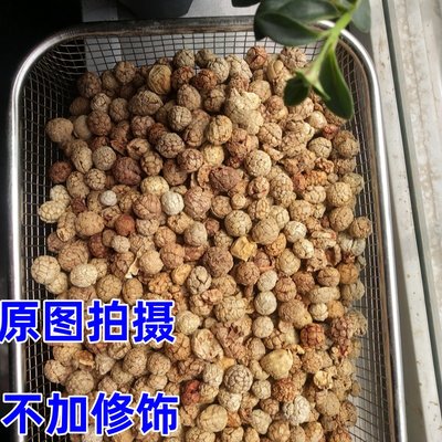 草豆蔻云南香辛料精选草寇打粉