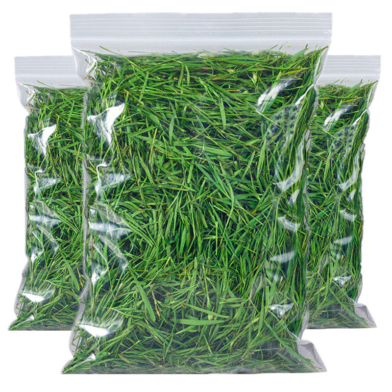 崂山石竹茶新茶500g新鲜竹叶茶嫩芽青竹叶石竹青天然散装非淡竹叶