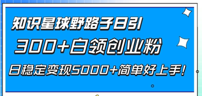 知识星球野路子日引300+白领创业粉，日稳定变现5000+简单好上手