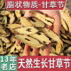 天然红皮野外生甘草节切片中药材泡茶特级泡水甜生甘草根250g新货