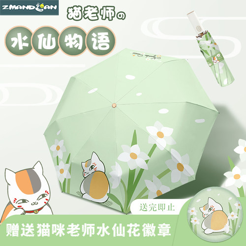 猫咪老师雨伞自动防晒清新可爱女