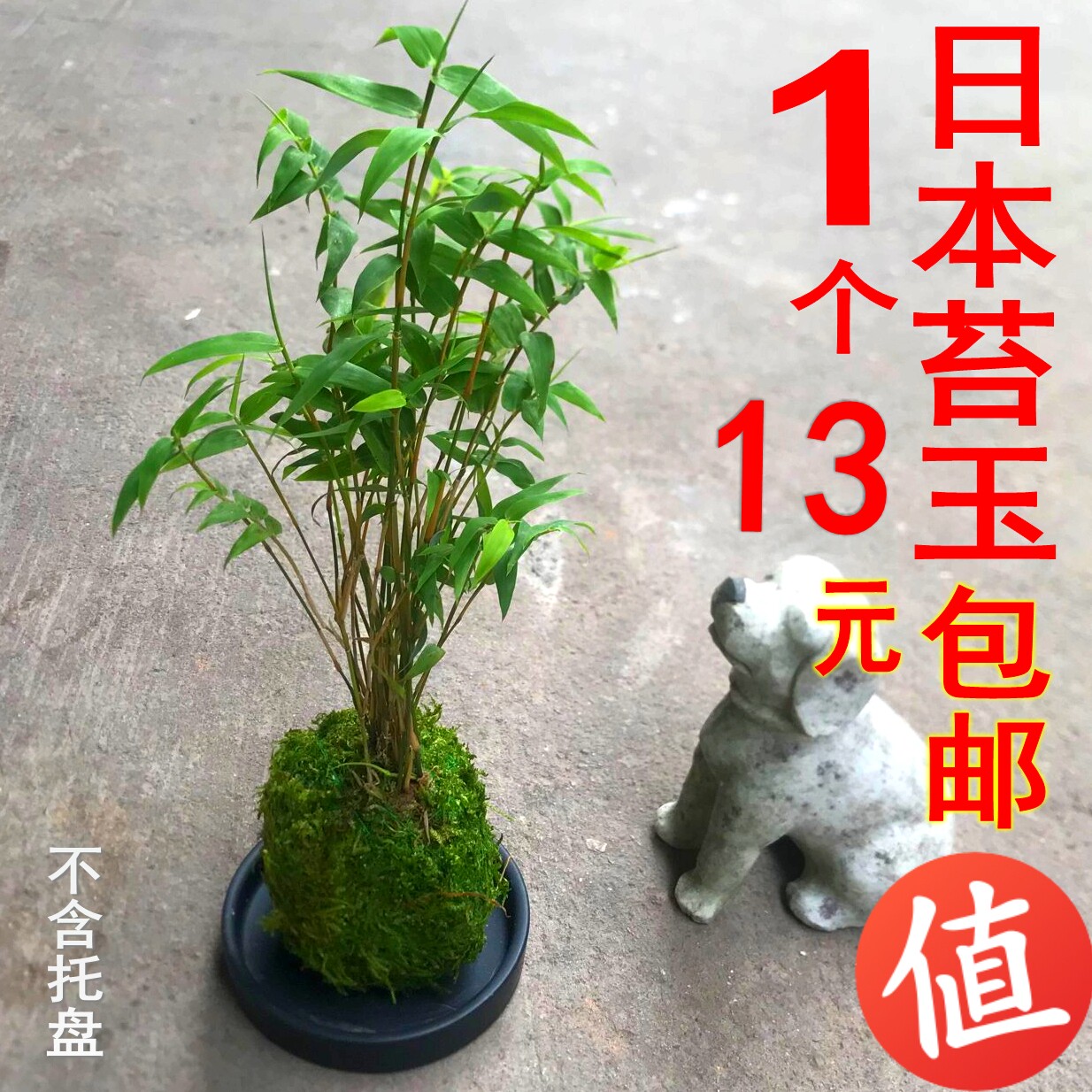 盆景盘价格 盆景盘图片 星期三