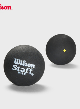Wilson威尔胜官方STAFF壁球官方橡胶专业训练比赛壁球配件多颗装