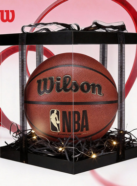 Wilson威尔胜官方NBA联名吸湿绝尘耐磨室内外通用5号7号标准篮球