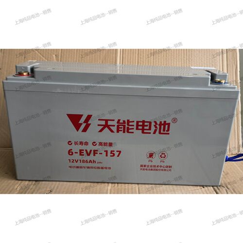 天能6-EVF-157AH电动平板车电瓶