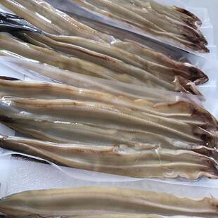 新鲜七星鳗鱼干沙鳗干整条油鳗鲞海鳝鱼干鳗麟海咸鱼干货新鲜无刺