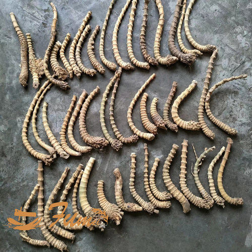 石楠木竹节烟斗原材料精品