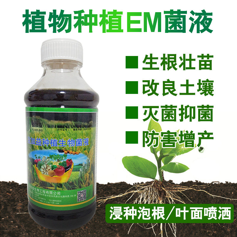 种植em菌原液植物用益生菌生根壮苗发酵有机肥花卉中药芽菜营养液
