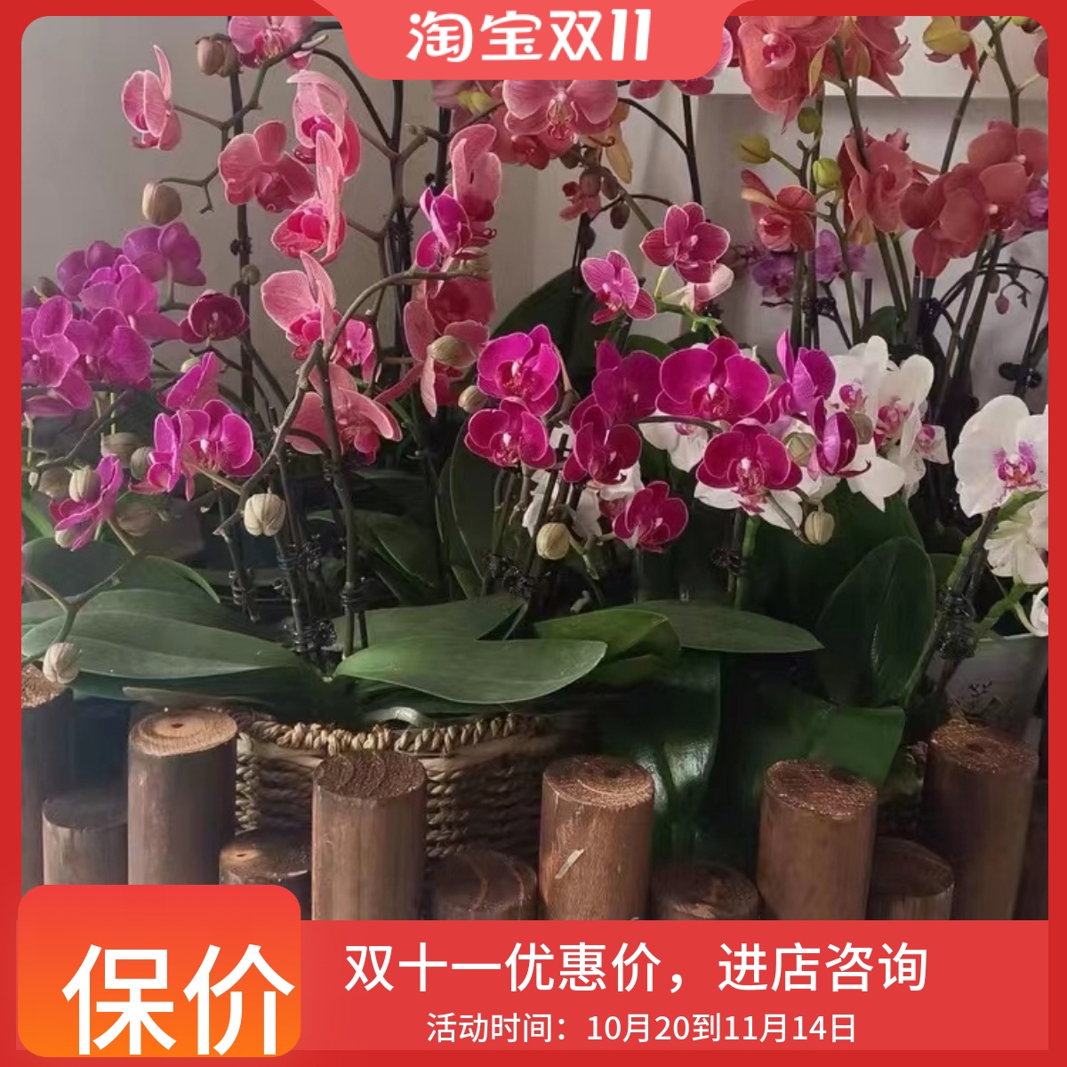 花园围栏阳台装饰室内防腐木栅栏