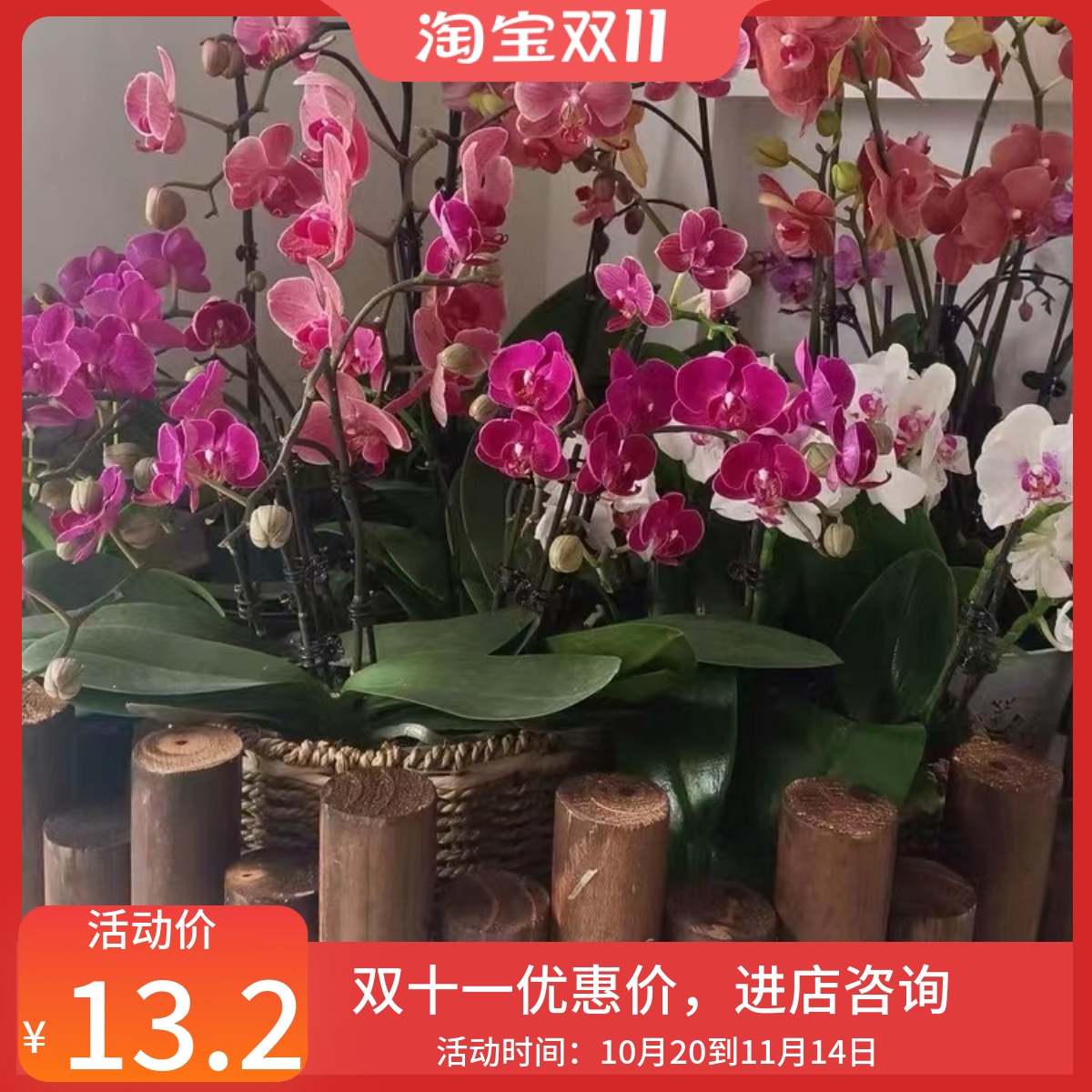 防腐木栅栏户外花园围栏庭院室内篱笆阳台装饰碳化小木桩室外护栏