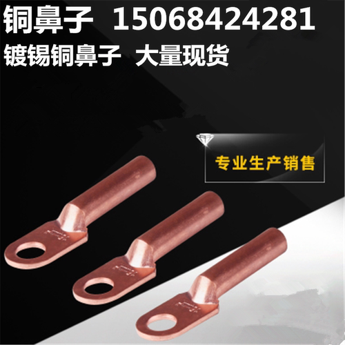 平方紫铜接线端子
