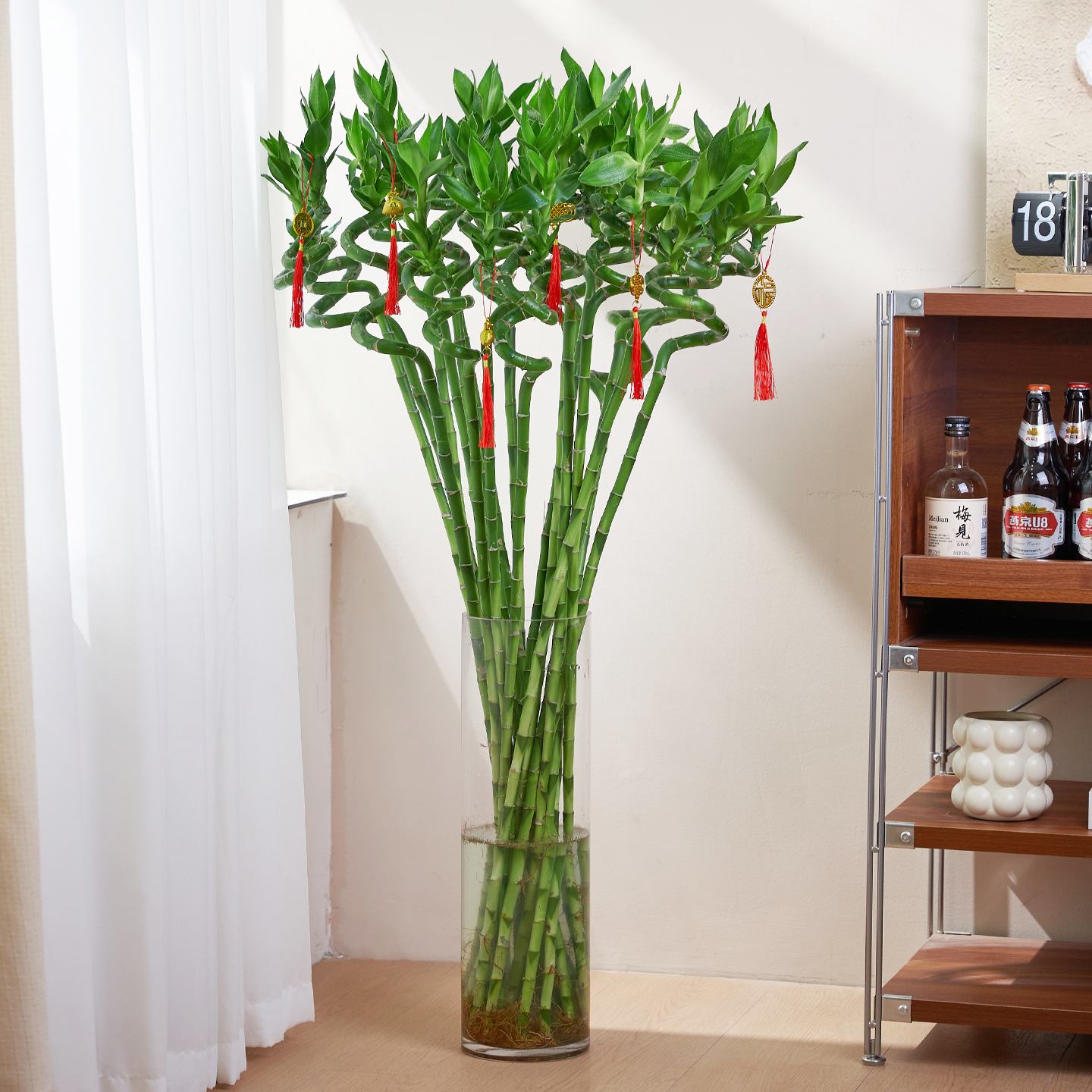 水培植物转运竹室内客厅富贵竹龙竹观音竹办公室桌面四季盆栽绿植